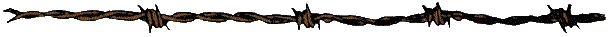 BARBWIRE.GIF (3651 bytes)